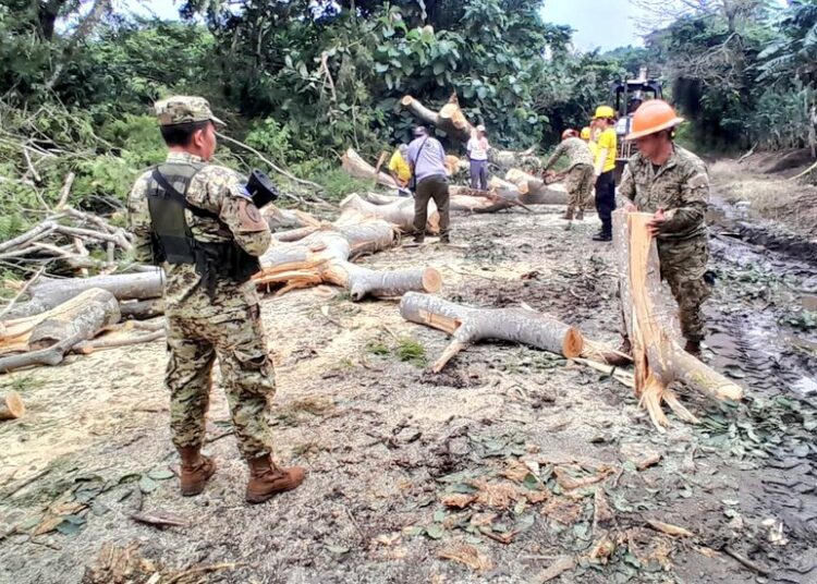 Fuerza Armada retira árbol caído que bloqueaba la vía principal en Las Mesas, Chinameca