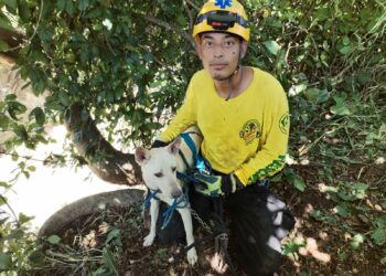 Comandos de Salvamento salvan a perro atrapado en el río Acelhuate
