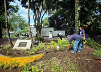Santa Tecla renueva El Cafetalón: equipos municipales transforman el parque con mejoras