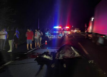 Vehículo volcó tras atropellar a dos vacas, dejó dos personas lesionadas