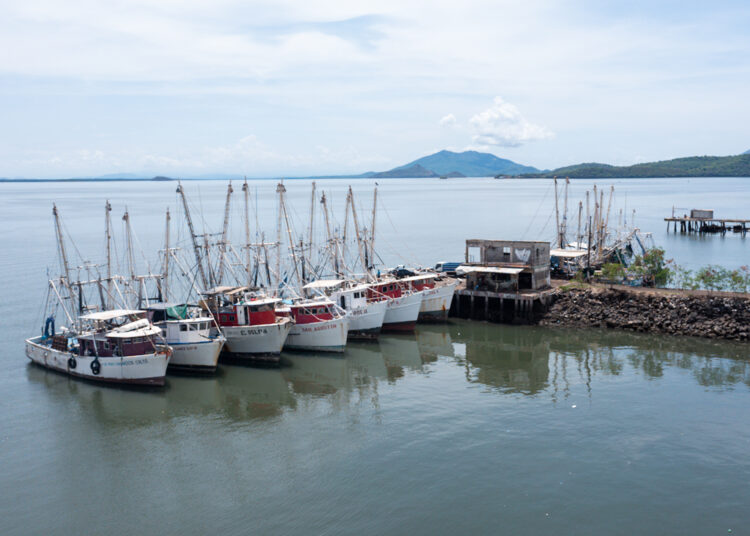 El Salvador refuerza la protección del camarón marino con nueva veda para garantizar su sostenibilidad
