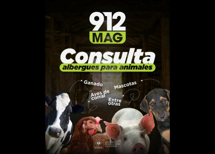 MAG brinda asistencia y albergues para resguardar animales ante lluvias