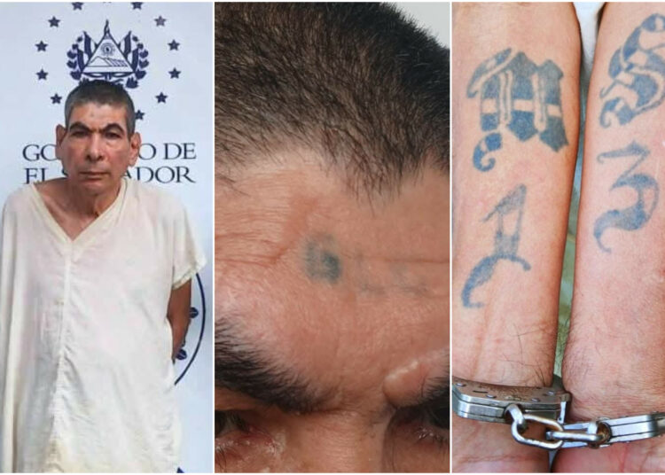 Capturan en Soyapango a veterano pandillero de la MS13 acusado de extorsión