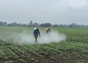 Gobierno garantiza abastecimiento de alimentos y protección a productores durante emergencia por lluvias