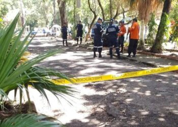 Mujer atropellada por camioneta en Cementerio Santa Isabel de Santa Ana Centro