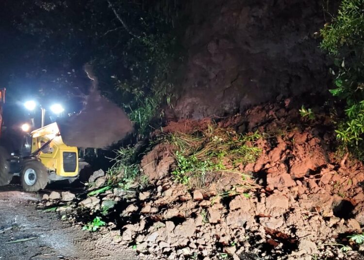 FOVIAL refuerza labores ante el aumento de derrumbes y árboles caídos por lluvias
