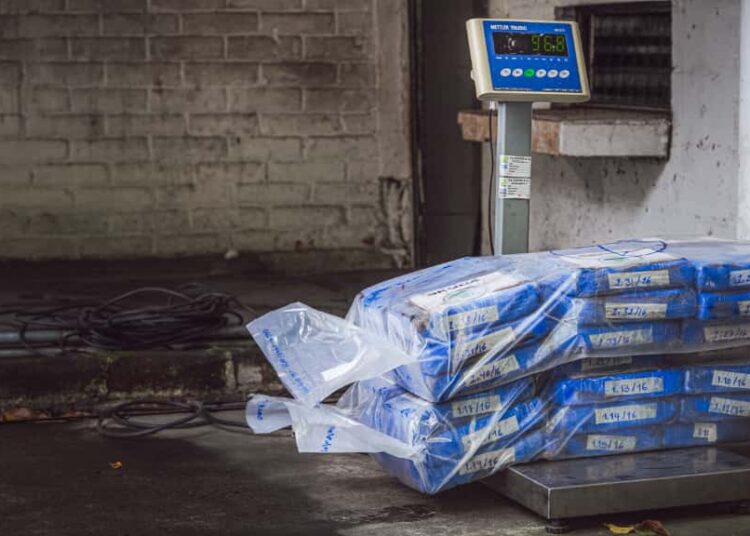 Autoridades destruyen 360 kilos de cocaína incautados frente a Sonsonate