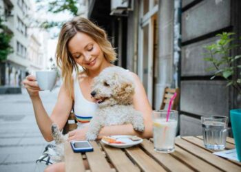 «Nuevo auge comercial: Cada vez más dueños de perros llevan a sus mascotas a tiendas, hoteles y restaurantes