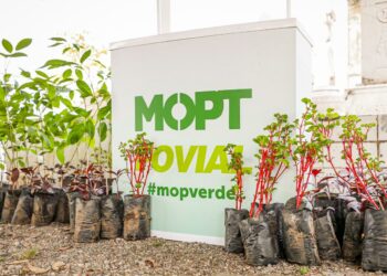 MOP invita a la población a sumarse a la reforestación con la entrega gratuita de plantas
