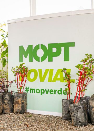 MOP invita a la población a sumarse a la reforestación con la entrega gratuita de plantas