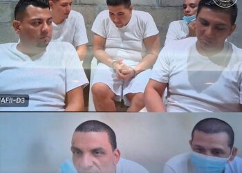 Red dedicada al hurto de vehículos recibe condenas