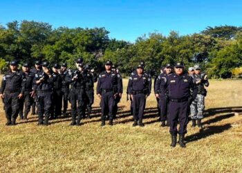 Borrador automático