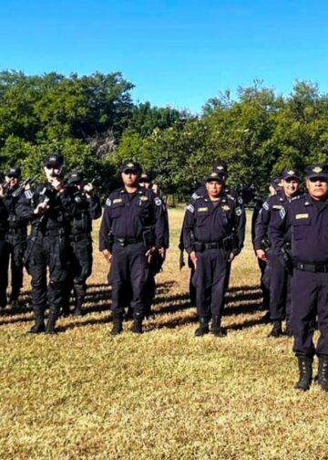 Borrador automático