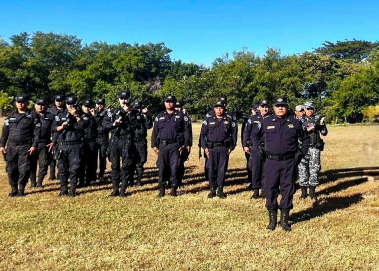 Borrador automático