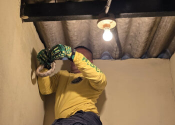 Rescatan a culebra masacuata atorada en el techo de una casa en San Martín