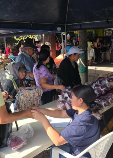 Instalan puntos de venta de frijol a $87 el quintal para proteger a productores y consumidores