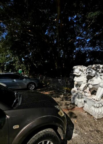 Condenan desmantelamiento de un parque histórico de la comunidad china en Panamá