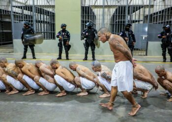 Presidente Bukele reafirma su postura contra las pandillas tras video publicado por Hillary Clinton