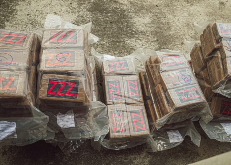 Autoridades verifican y clasifican cocaína incautada antes de su destrucción