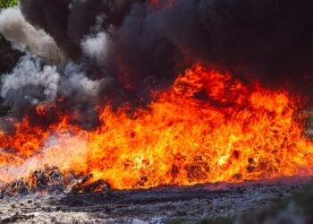 Autoridades confirman destrucción de cocaína incautada a dos procesados por narcotráfico