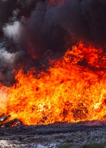 Autoridades confirman destrucción de cocaína incautada a dos procesados por narcotráfico