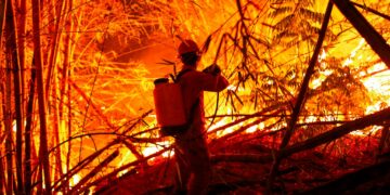 Protección Civil atiende más de 50 incidentes provocados por los fuertes vientos en el país