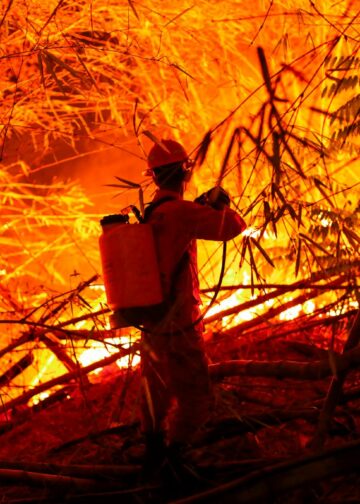 Protección Civil atiende más de 50 incidentes provocados por los fuertes vientos en el país