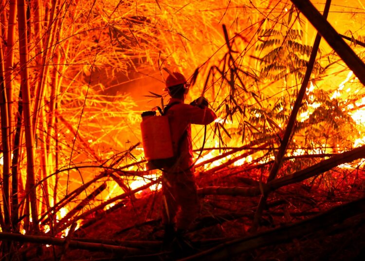 Protección Civil atiende más de 50 incidentes provocados por los fuertes vientos en el país