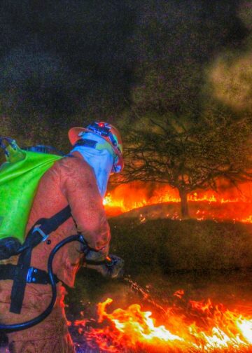 Aumentan los incendios en enero y Bomberos refuerza la alerta por vientos nortes en el país