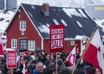 Borrador automático