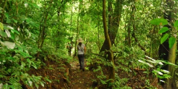 El Imposible, una de las siete maravillas del mundo para visitar en 2026 según Condé Nast Traveler