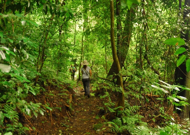 El Imposible, una de las siete maravillas del mundo para visitar en 2026 según Condé Nast Traveler