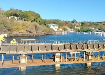 Avanza construcción de muelle en Isla Zacatillo