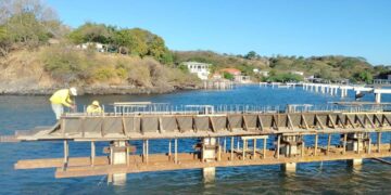 Avanza construcción de muelle en Isla Zacatillo