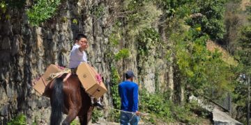 Presidente Bukele destaca conmovedora imagen de estudiantes con sus paquetes escolares