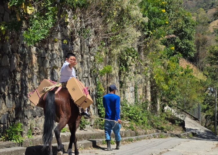 Presidente Bukele destaca conmovedora imagen de estudiantes con sus paquetes escolares