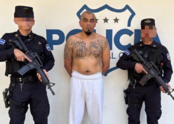 Capturan a alias “Abejita” tras ingresar al país