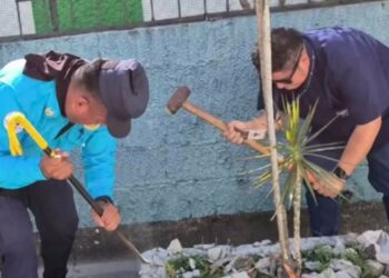 Mujer es sancionada tras instalar clavos peligrosos frente a escuela en Colonia Atlacatl