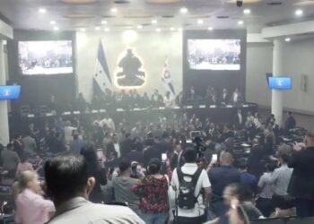 Diputados de Libre protagonizan empujones, trompones y lanzamiento de agua en el hemiciclo