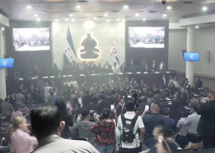 Diputados de Libre protagonizan empujones, trompones y lanzamiento de agua en el hemiciclo