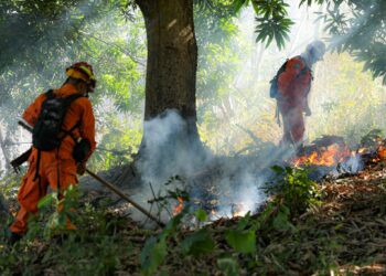 Protección Civil reporta más de 2,600 incendios atendidos en lo que va de 2026