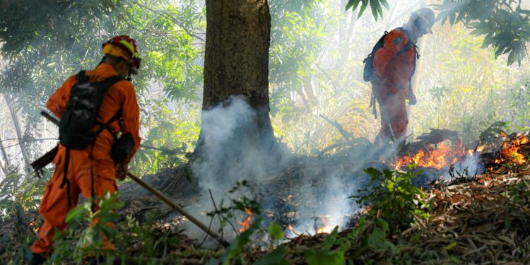 Protección Civil reporta más de 2,600 incendios atendidos en lo que va de 2026