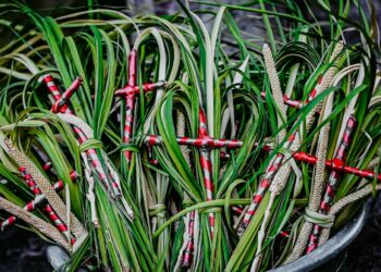Alta participación de fieles marca el inicio de la Semana Santa en San Salvador