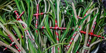 Alta participación de fieles marca el inicio de la Semana Santa en San Salvador