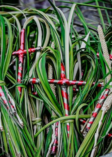 Alta participación de fieles marca el inicio de la Semana Santa en San Salvador