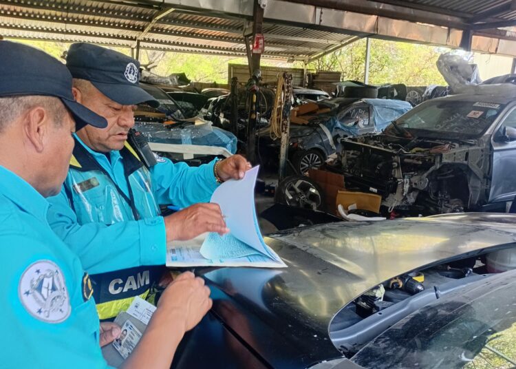 Operativo del CAM en Los Planes de Renderos deja sanciones