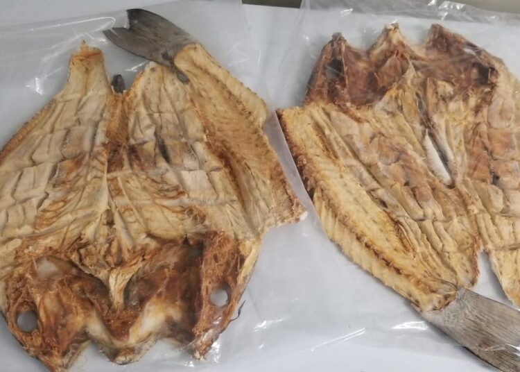 Agro Mercados contrarresta aumento en precios del pescado seco por algunos comerciantes
