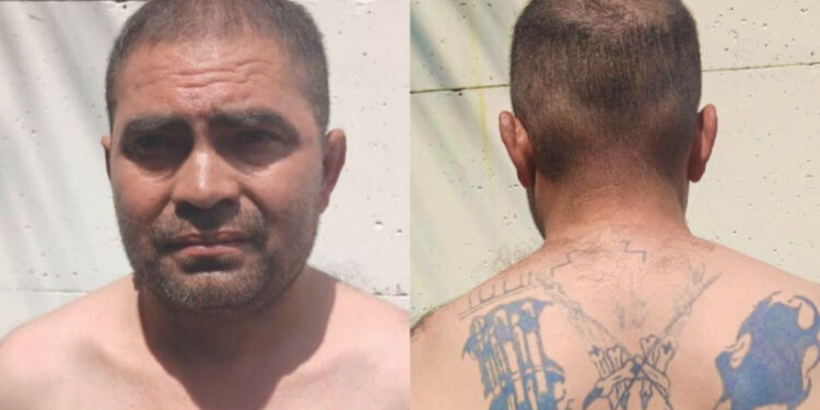 Capturan en Colón a pandillero de la MS que intentó borrar tatuajes
