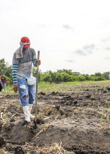 Gobierno impulsa planificación agrícola con enfoque técnico para aprovechar temporada de lluvias y fortalecer la producción nacional