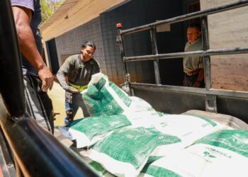 Agricultores compran insumos a bajo costo a través de red nacional habilitada por el MAG